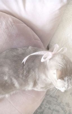 𝐜𝐡𝐨𝐤𝐞𝐫 ✘ điên mà vẫn yêu