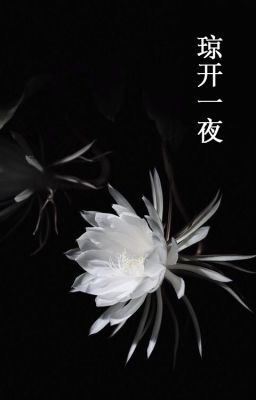 𝐣𝐚𝐲𝐡𝐨𝐨𝐧 || quỳnh khai nhất dạ