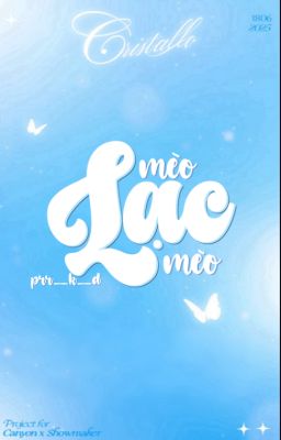 [𝑪𝒓𝒊𝒔𝒕𝒂𝒍𝒍𝒐| 20:00] mèo lạc mèo