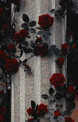 |𝒃𝒂̣𝒄𝒉 𝒒𝒖𝒂𝒏𝒈 𝒗𝒊̃ 𝒏𝒊𝒆̂𝒏| 𝒍𝒐𝒔𝒕 𝒊𝒏 𝒚𝒐𝒖