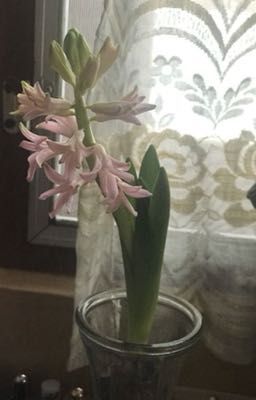 𝓒𝓱𝓸𝓻𝓾| anh.