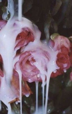 (𝓗𝓾̀𝓷𝓰 𝓐𝓷 ) 𝓚𝓱𝓾 𝓝𝓱𝓪̀ 𝓢𝓸̂́ 𝟏𝟑