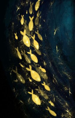 [ 𝔅𝔲𝔦𝔱𝔯𝔲𝔬𝔫𝔤𝔩𝔦𝔫𝔥 𝔵 𝔑𝔢𝔤𝔞𝔳 ] ℭ𝔯𝔲𝔰𝔥