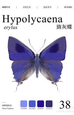 𝖆𝖓𝖆𝖌𝖑𝖆𝖊𝖆 ⨾ l.o.m.l