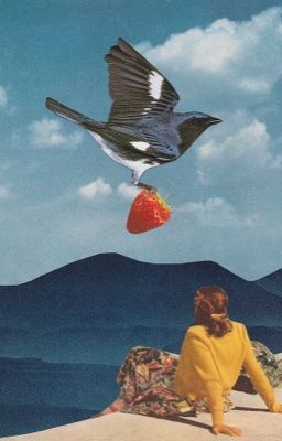 𝗸𝗵𝘀𝗵. puppy & foxy 