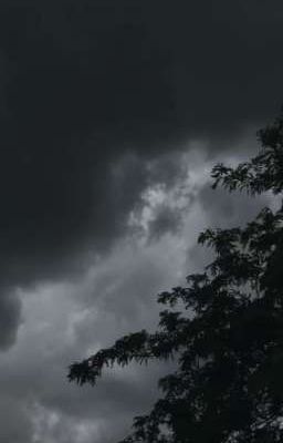  || 𝚋𝚕𝚒𝚟𝚒𝚘𝚗 ||