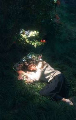 ⤿𝚑𝚘à𝚗𝚐𝚑à𝚘 |    𝐗𝐄  𝐃𝐔𝐘𝐄𝐍   ﾟ♡-‧˚